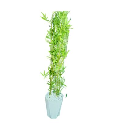 Bamboo Plant Vase Décor