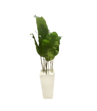 Tall Artificial Banana Leaf Plant in White Modern Planter