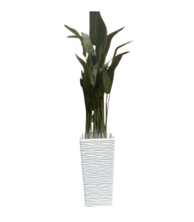 Artificial Bird of Paradise Plant in Modern White Decorative Floor Pot